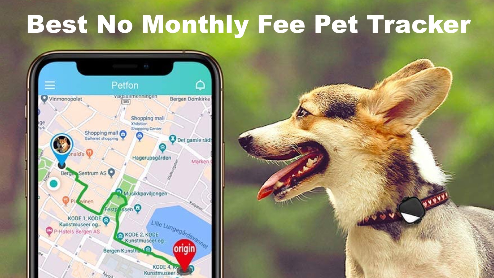Best-Pet-Tracker