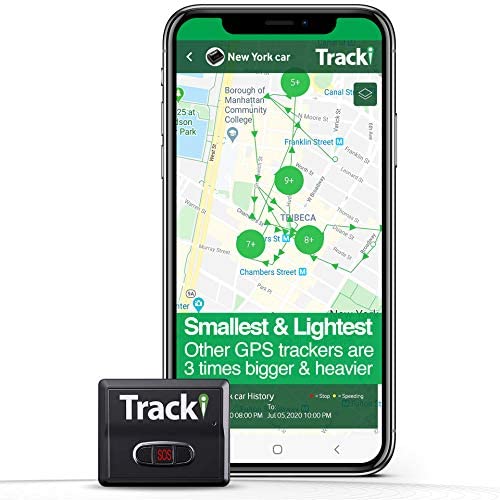Best GPS Dog Tracker in Canada for 2021 LaptrinhX / News