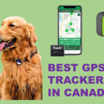 Best GPS Dog Trackers in Canada