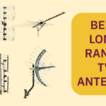 Best Long Range TV Antenna