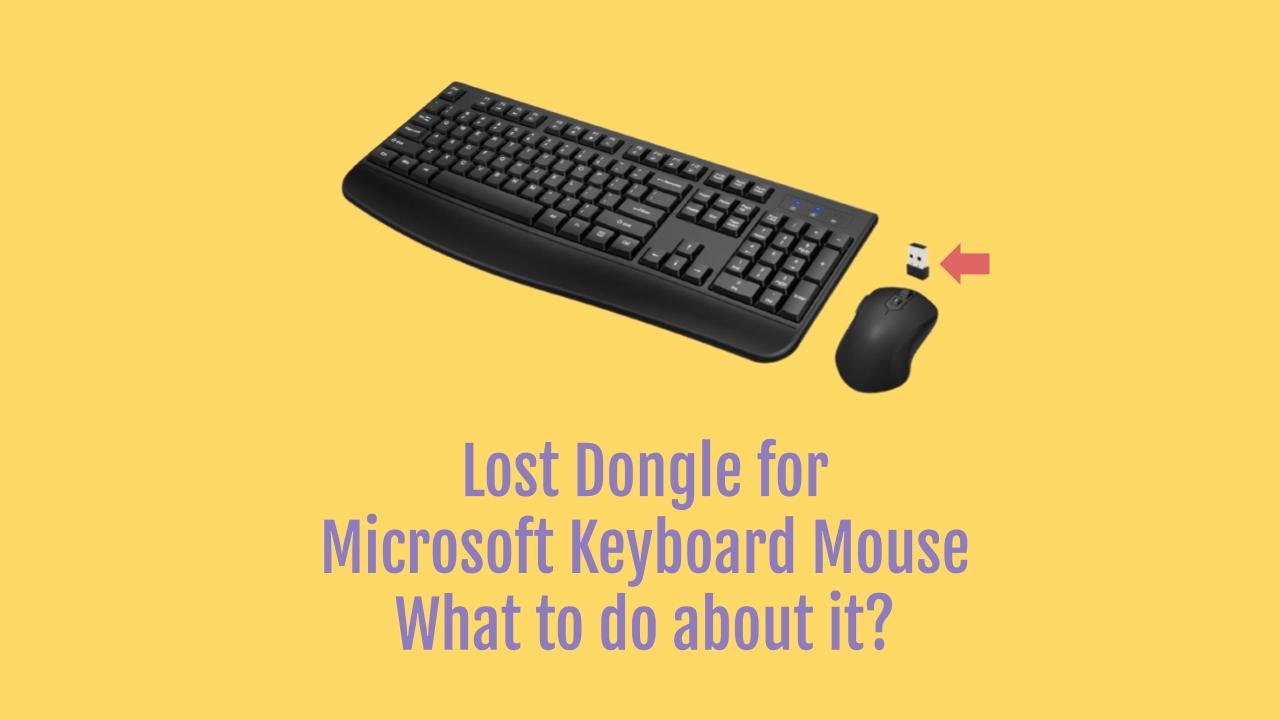 Lost USB for Microsoft Wireless Mouse - what to do? - OneSDR - 🛜 Technology